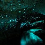 The Glowing Caves of Waitomo in New Zealand