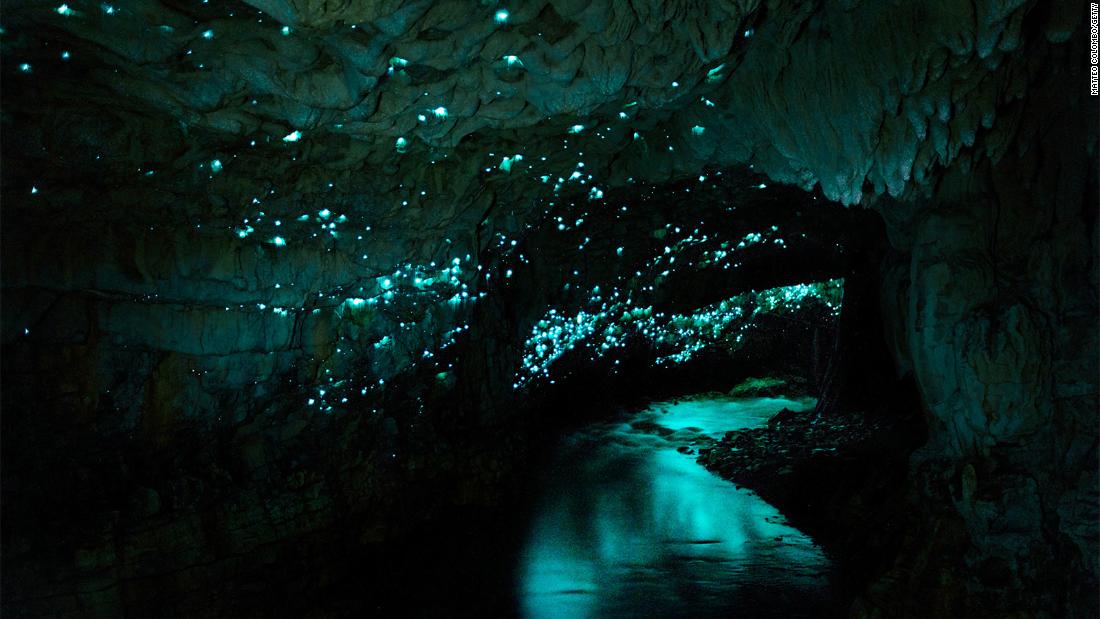 The Glowing Caves of Waitomo in New Zealand