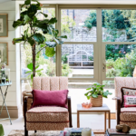 Greening Your Living Space
